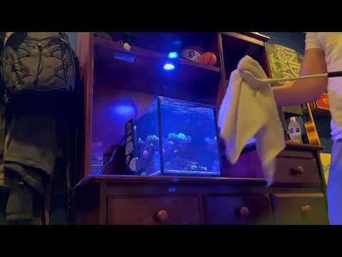 1 Month Update: 10 Gallon Nano Reef Tank Innovative Marine NUVOFusion