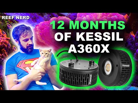 1 Year Review of the Kessil A360X – Switching to Kessil