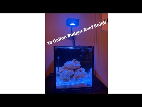 10 Gallon Innovative Marine Build