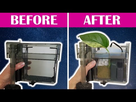 10 Hacks to Make the PERFECT Hang-on-Back Filter