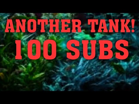 100 Subscribers and Focus 36 Unboxing
