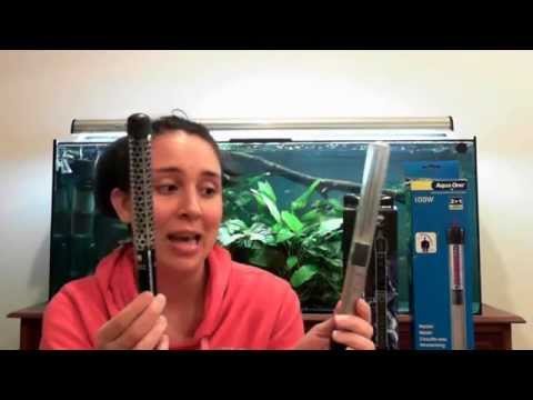 100w Aquarium Heater Review – Aqua Zonic Vs Aqua One