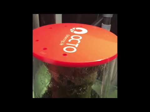 150 SSS CALISMA YUKSEKLIGI 17 CM OLACAK Reef Octopus Classic 150SSS