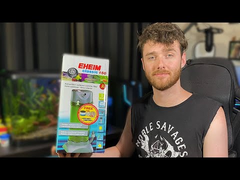 2 WEEK UPDATE ON THE FLUVAL CURVE