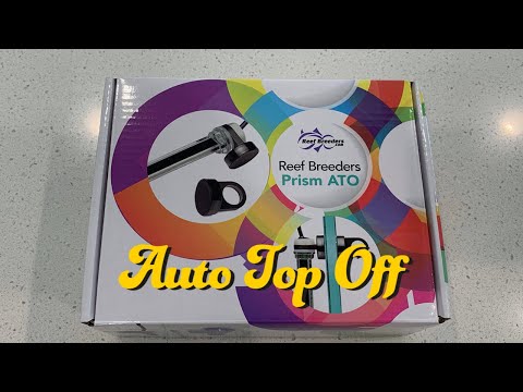 20 NUVO Fusion AIO Aquarium   Innovative Marine –  Week 9