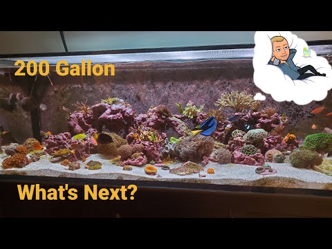 200 Gallon Innovative Marine…What's Next?