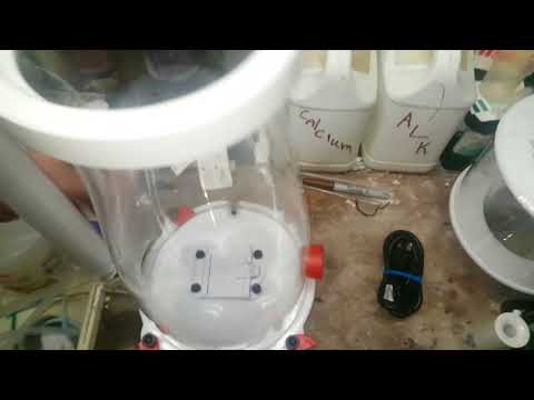 2018 Bubble Magus Curve 9+ DC skimmer reveiw setup
