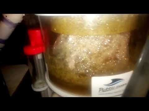 2018 Bubble Magus Curve 9+ DC skimmer UPDATE