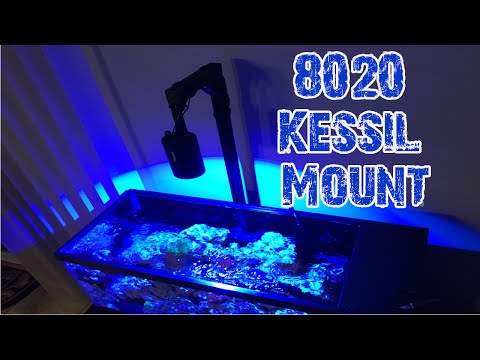 20G Long Nano Reef Tank All In One | 8020 DIY Kessil A160 Light Mount