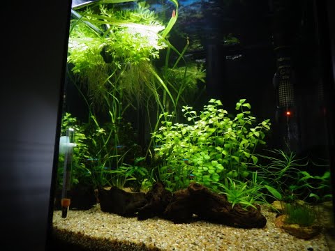 (21) Recenzja filtra Aquael Versamax 1 fzn-1