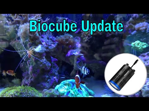 29 Gallon Biocube Reef Series Ep. 6 | New Kessil A160's and Fish
