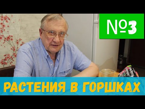 #3 Растения в горшках на дне аквариума. Технология / Аквариумистика с Геннадием Посейдонычем