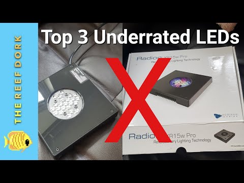 3 Lights You Haven't Considered (That You Probably Should)