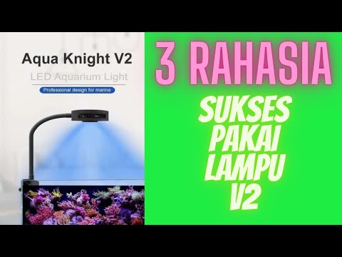 3 RAHASIA SUKSES PAKAI LAMPU AQUAKNIGHT V2
