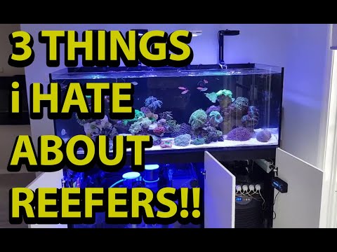 3 Things I hate About Redsea Reefers