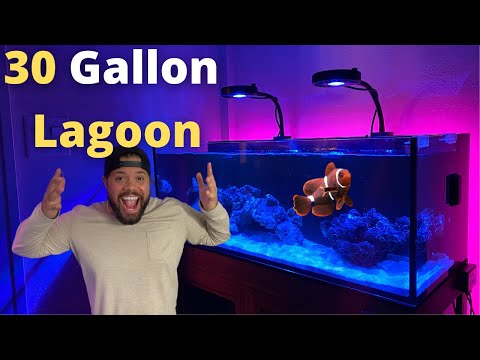 30 Gallon Lagoon! Innovative Marine! New Tank