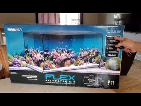 32.5 Fluval Flex Saltwater Kit