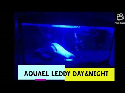 36. Aquael Leddy 60 day&night rozpakowanie i urządzanie
