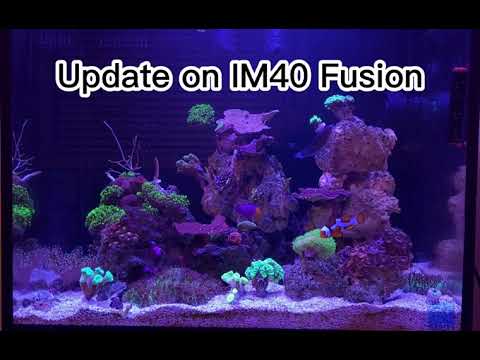3Months Update on the INNOVATIVE MARINE 40 FUSION PRO.