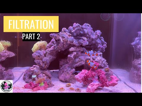 4 Tank Filtrations In My Sump| RED SEA REEFER NANO 28G