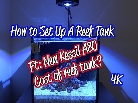 4K How to Set Up a Reef Tank Innovative Marine Fusion Nano Nuvo 10 Gallon – Budget