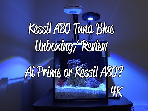 4K Kessil A80 Tuna Blue Unboxing and Review Part #1 Ai Prime Side by Side