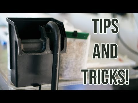 5 TIPS For Hang On back Filters!