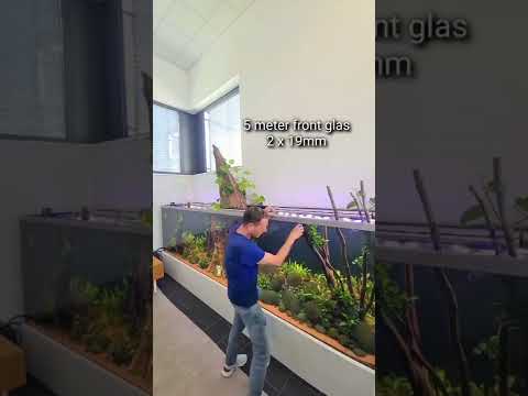 5,000 liter planted feat. 2,000 liter Cichlid tank