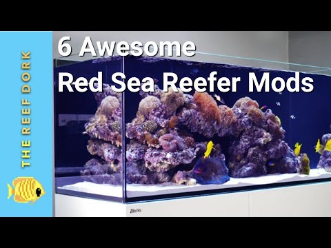 6 ESSENTIAL And Easy Red Sea Reefer Modifications