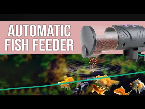 7 Amazing Automatic Fish Feeder