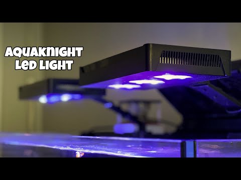$70 Led Light that Grows Coral? *review*