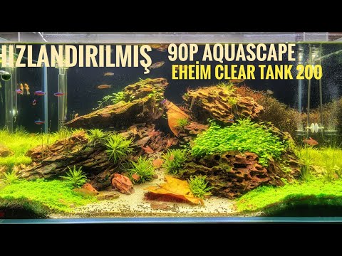 90P | HIZLANDIRILMIŞ BİTKİLİ AKVARYUM KURULUMU | EHEİM CLEAR TANK 200