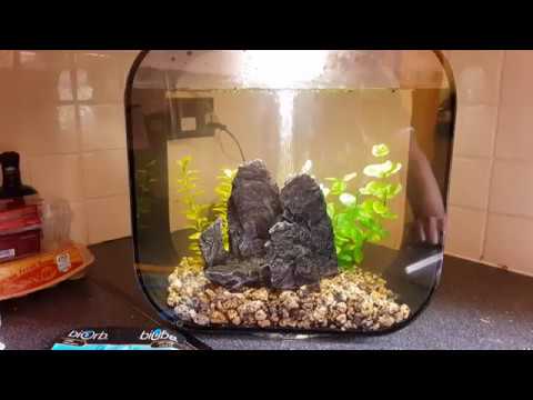 A quick Biorb Life 30 Set up video
