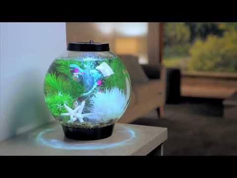 A quick look at the Oase biOrb Classic