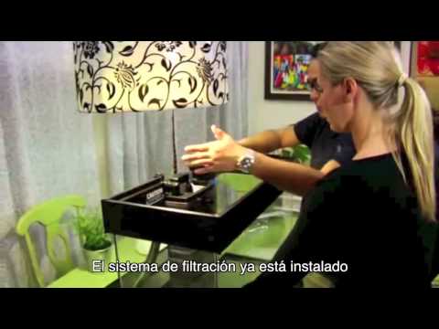 Acuario FLUVAL Accent – Mascositas