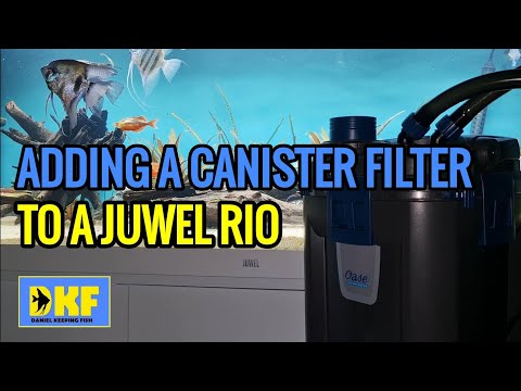 ADDING A CANISTER FILTER TO A JUWEL RIO AQUARIUM