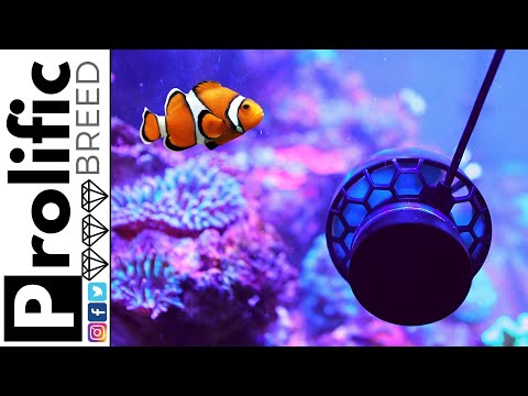 AI NERO 5 WAVE MAKER FOR THE RED SEA REEFER 350 AQUARIUM