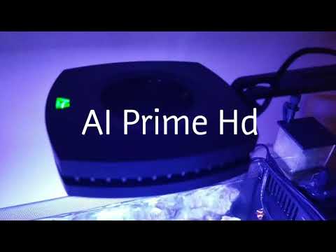 AI PRIME HD FLUVAL EVO (upgrade)
