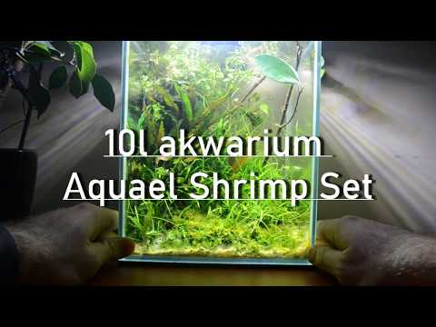 Akwarium, aquael shrimp set 10l