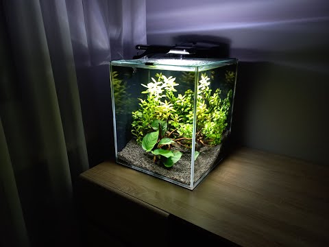 Akwarium kostka / Aquarium cube 49L 35x35x40 Aquael Fish & Shrimp Set Duo