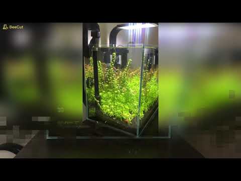 Akwarium VIV 36x22x28 22L, AQUAEL, FLUVAL, Low-Tech