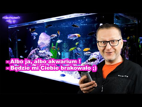 – Albo ja, albo akwarium ;)