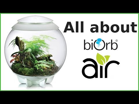 All about Oase biOrb Air