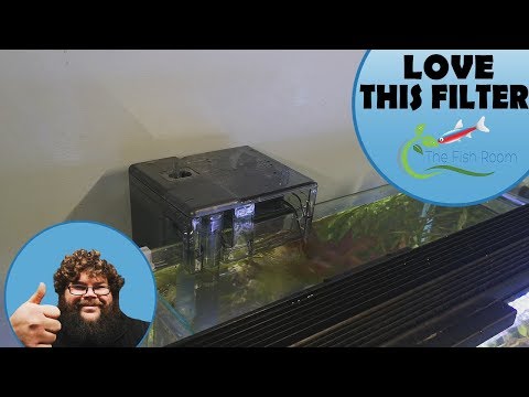 Aqua Clear Hang on Back Filter Review.