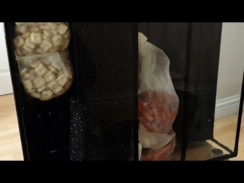 Aqua Nano 40 Filter Setup