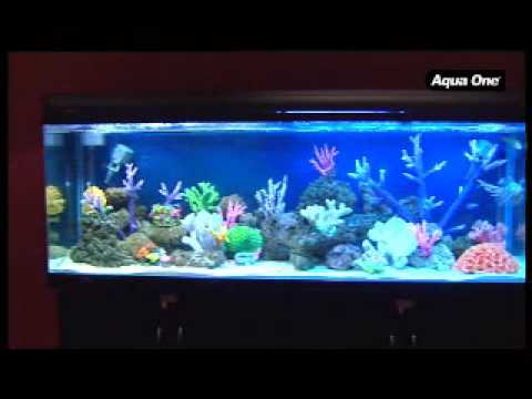 AQUA ONE AQUARIUMS – AQUAGRAND 120, 150 and 180