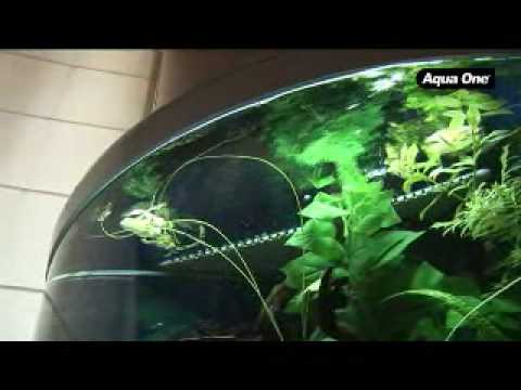 AQUA ONE AQUARIUMS – UFO 550, 700 and 880
