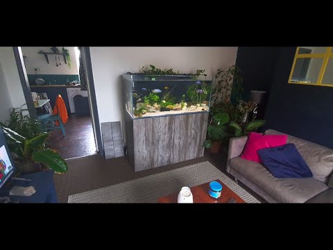 Aqua One Aquasys 300 tank review