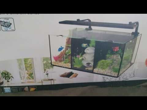 Aqua one Betta Trio unboxing
