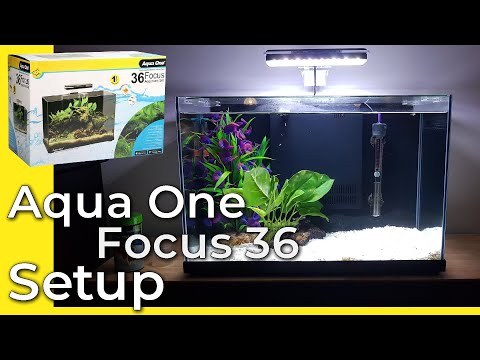 Aqua one focus 36 Setup